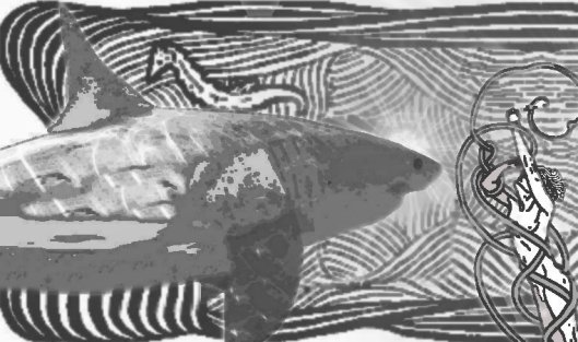 spirit shark of my soul