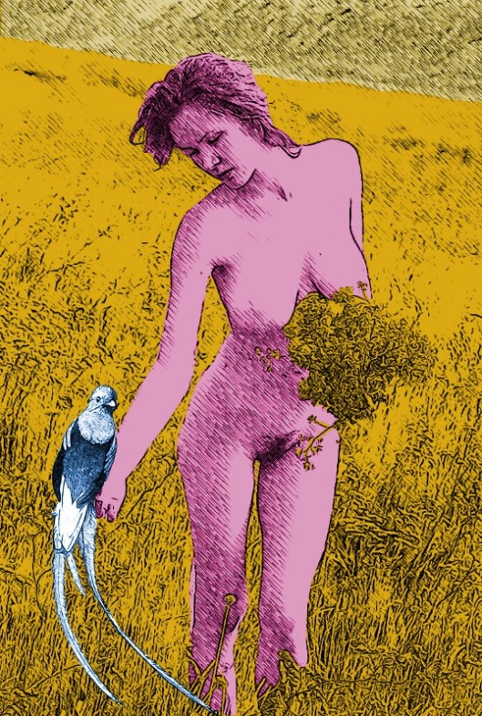 Anaba and the Quetzal