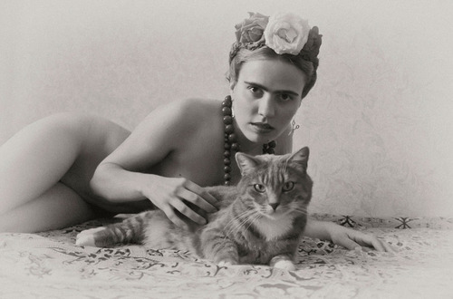 frida kahlo and kitty