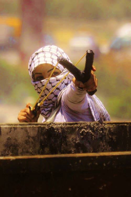 sling shot heard round the world