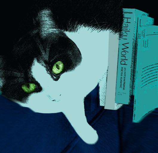 a cat named haiku