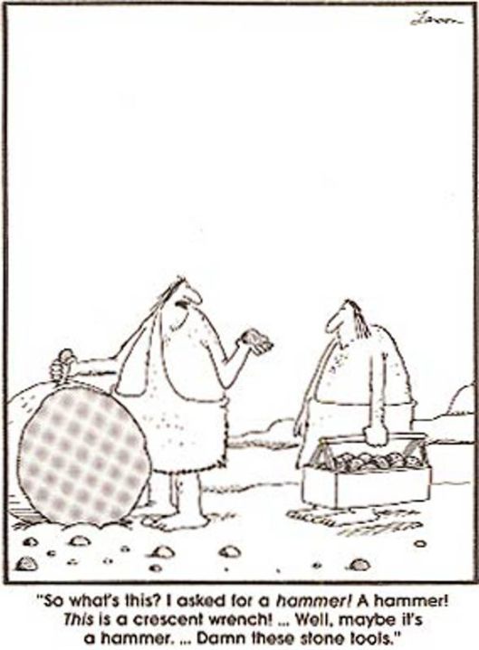 archaeology kitten 7