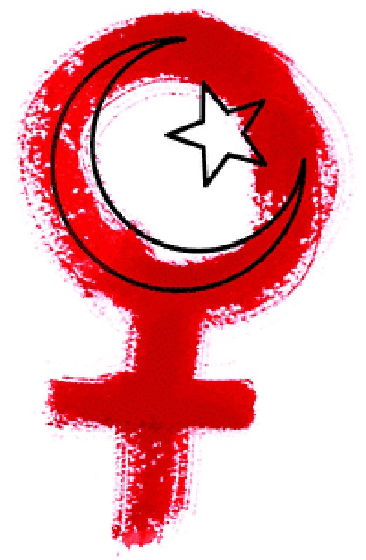 muslim feminist 2